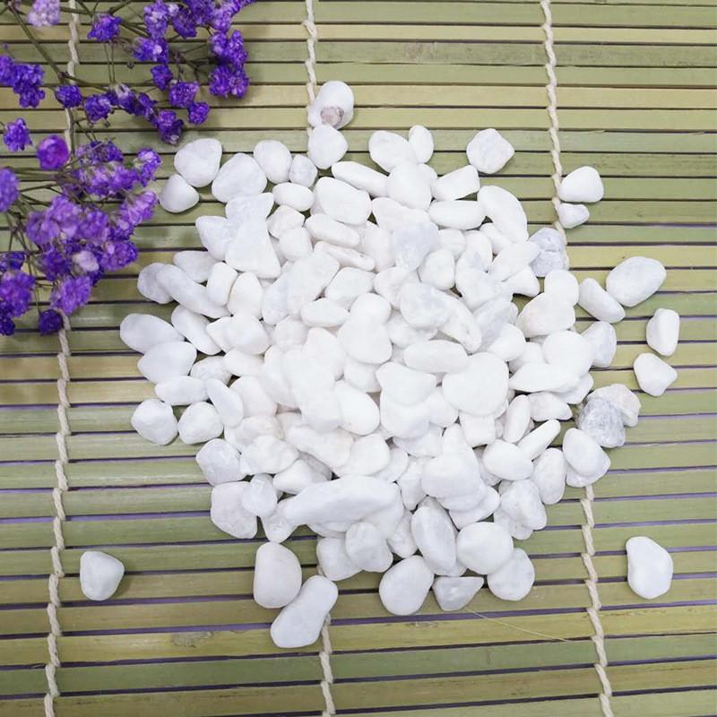 白色石子水磨白色石子白色鹅卵石园林铺路用白石子白色砾石