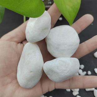 厂家供应鹅卵石花园造景白石子石子白砾石铺路白色小石子白色米石