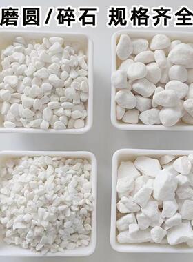 白色水磨石子日式枯山水白石子白色砾碎石园林造景白水洗石鹅卵