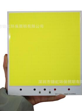 集成大功率户外灯灯珠led面光源倒装cob方形12v足120w