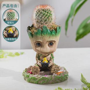 格鲁特鸟窝小花盆多肉植物仙人球仙人掌办公室桌面diy摆件好养活