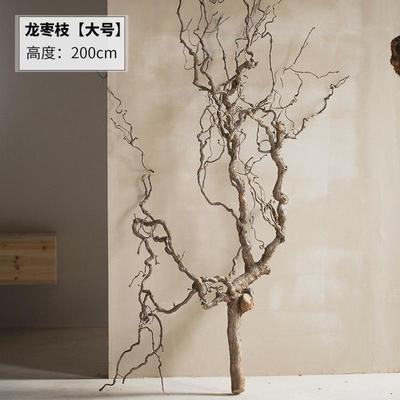 龙枣枝天然弯曲插花中式花艺宠物爬藤造景树枝装饰干树枝客厅落地