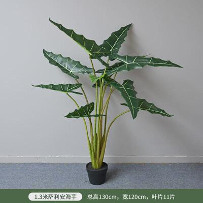 仿真海芋商场水芋北欧植物盆栽家居萨利安人造大型落地假树造景装
