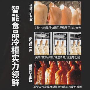 雅绅宝厂家直供不锈钢商用柜烧鹅烧腊解冻风干烧鸡双门烤鸭晾胚柜