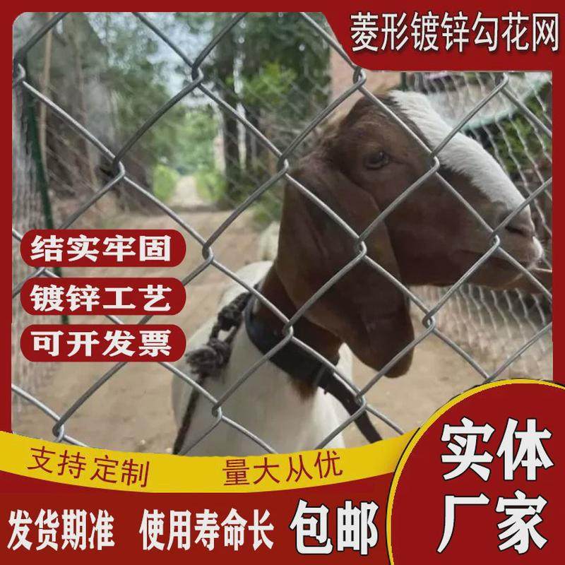 圈地养殖网宠物笼子菱形镀锌钢丝勾花网公路铁路动物园围栏护栏网,金属材料及制品,丝网/金属网,淘宝优惠券,粉丝福利购,淘宝优惠卷