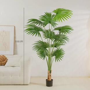 仿真绿植加州蒲葵扇葵假树景观室内客厅大型落地盆景北欧现代风格