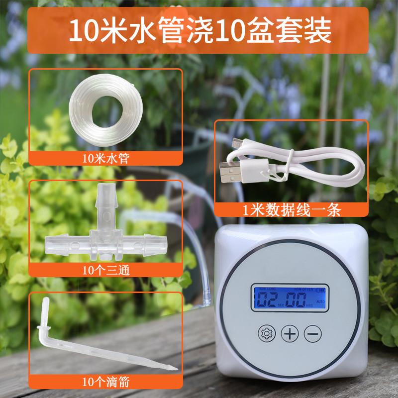植物箭浇水器定时灌溉盆栽自动浇花器滴懒人滴灌阳台渗水器定时器