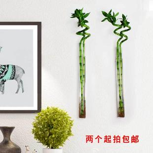创意壁挂水培花瓶家居客厅餐厅墙壁装饰挂件转运竹简约现代挂瓶