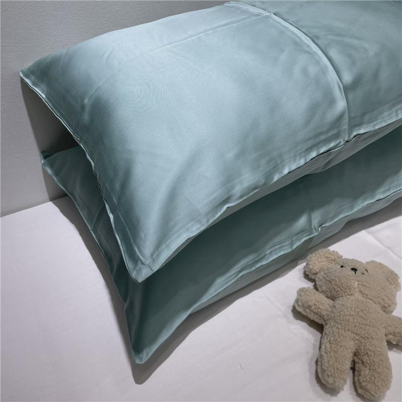 v3fp凉爽100支天丝单人枕套纯色丝滑枕头48*74枕皮宝宝亲肤枕巾不