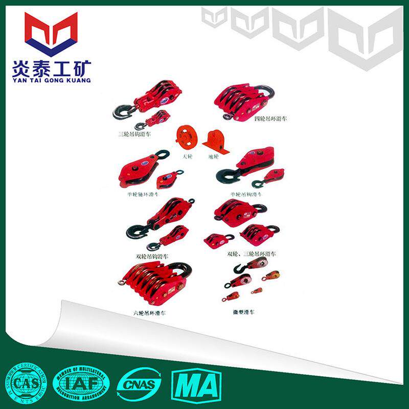 山东欢迎泰厂家滑车滑车质优价廉炎订购