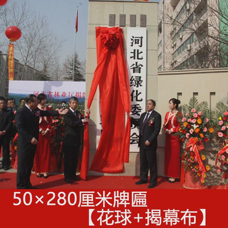 揭幕红绸布开业揭牌仪式牌匾装饰大花球架子剪彩花球道具招牌新品