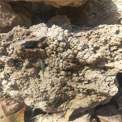 供应大假山石别墅区用的吸水石用上水石成品植物园假山景石