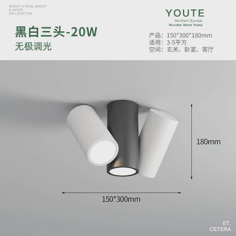 网红过道灯走廊灯2024年新款led吸顶灯简约现代衣帽间入户玄关灯