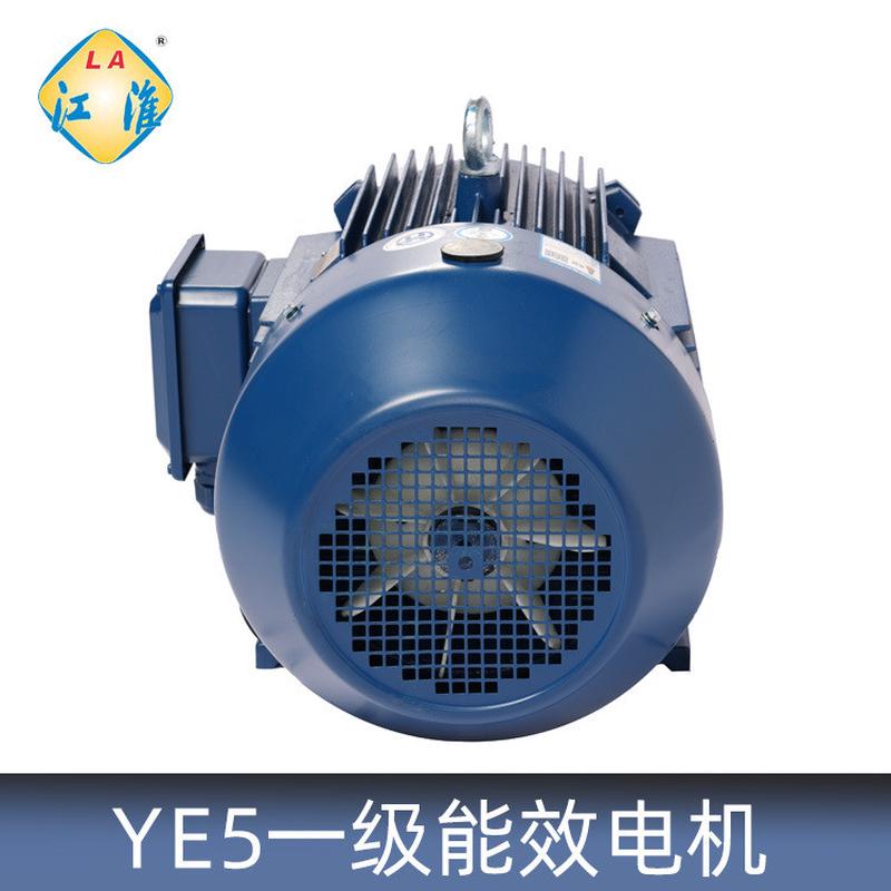 一级六安电机能效江淮ye5-315l2-4/200kw4极三相异步离心水泵电动