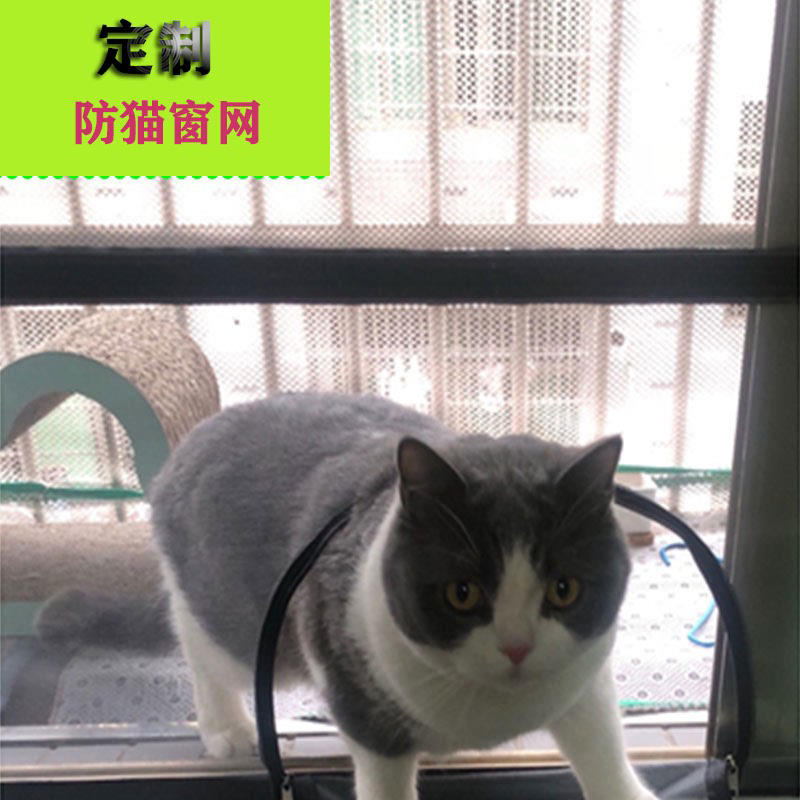 防蚊纱窗防猫跳窗逃跑封窗纳米纱网挡猫跳楼神器免打孔家用内开窗