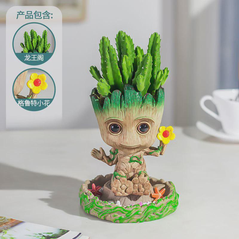 格鲁特鸟窝小花盆多肉植物仙人球仙人掌办公室桌面diy摆件好养活