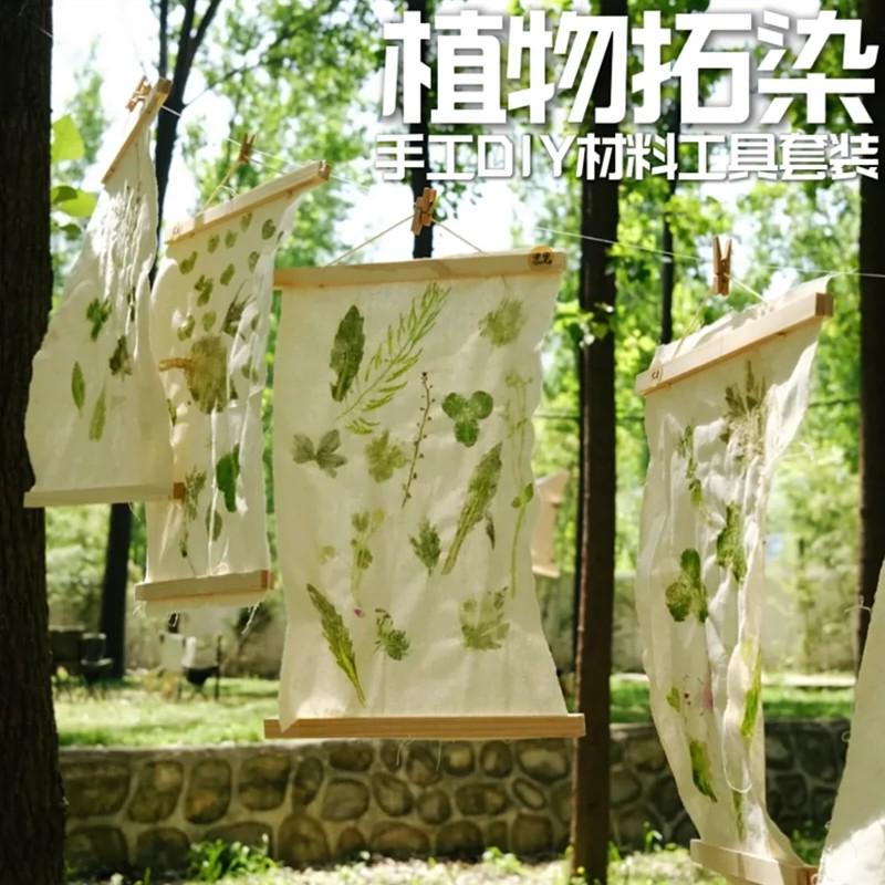 幼儿园环创扎染白布花草造纸术展示框磁吸实木挂轴草木染美术课
