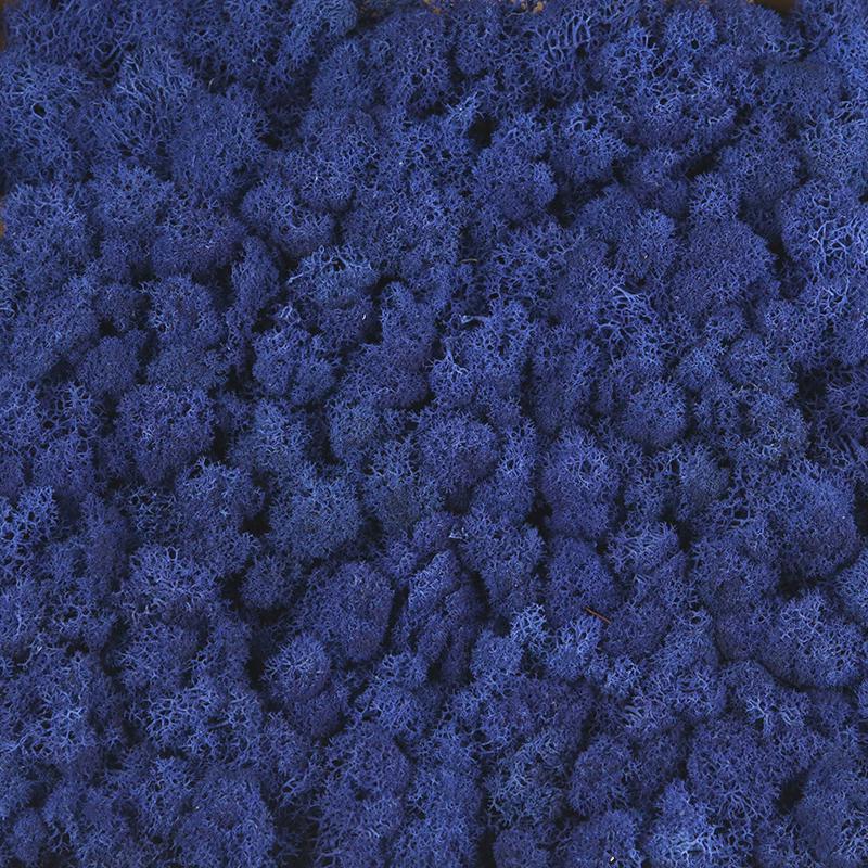 苔藓墙植物墙装饰墙绿苔diy微景观工艺品批发