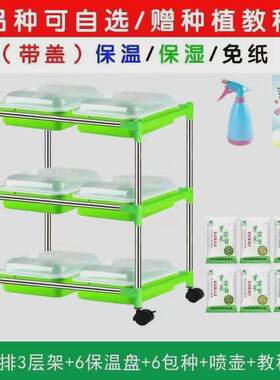 芽苗菜育苗盘无土栽培网格豌豆苗豆芽种植盘家用加深加密盆架子