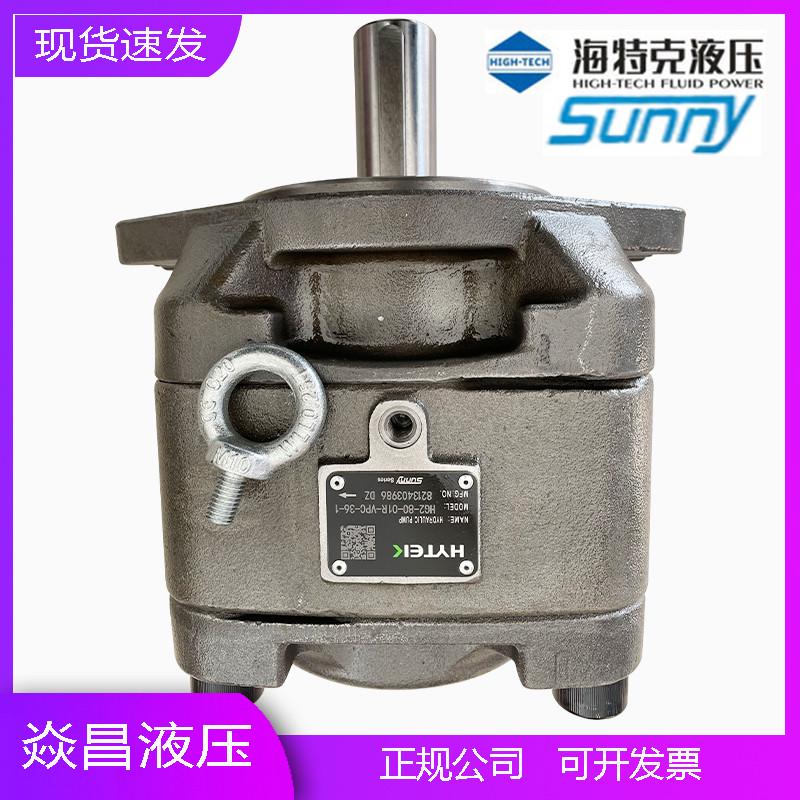 海特克内啮合齿轮泵HG2-80/100/125/160-01R-VPC SUNNY伺服油泵