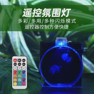 SmartF迷你桌面水母缸鱼缸生态发光水母瓶七彩遥控变色儿童节礼品
