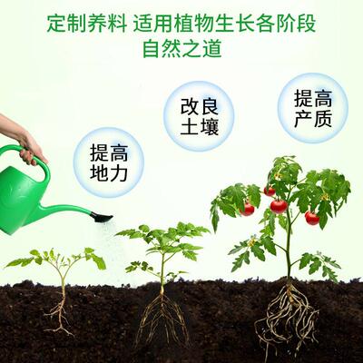 发酵肥肥羊粪肥羊粪颗粒羊粪生根壮苗生物有机肥农家肥纯羊粪肥