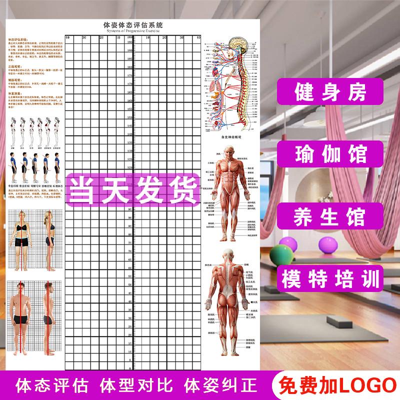 体态评估表挂式贴式体测健身房馆私教身高臂展网格身体对比图
