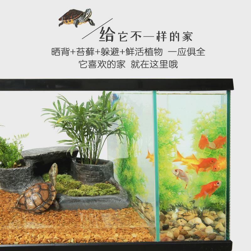 热销玻璃乌龟缸带晒台水陆缸生态水陆缸混养鱼缸龟缸鱼龟养乌龟缸