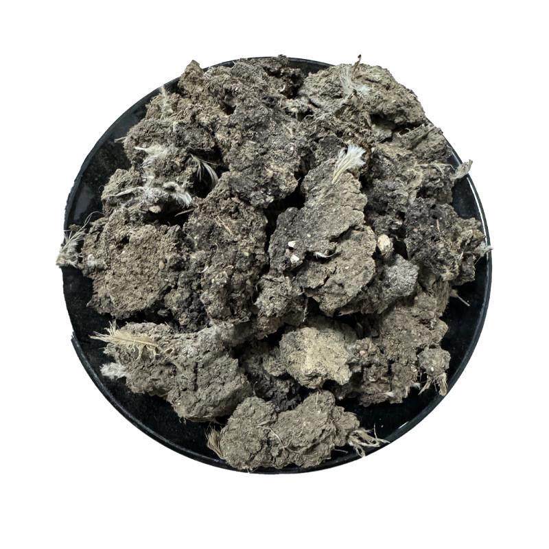 干鸡粪块有机肥纯鸡粪肥料不含杂质增加土地瓜果肥力蔬菜通用肥料,鲜花速递/花卉仿真/绿植园艺,介质/营养土,淘宝优惠券,粉丝福利购,淘宝优惠卷