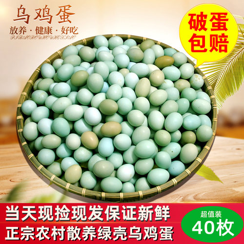 低胆固醇高营养农家乌骨鸡蛋