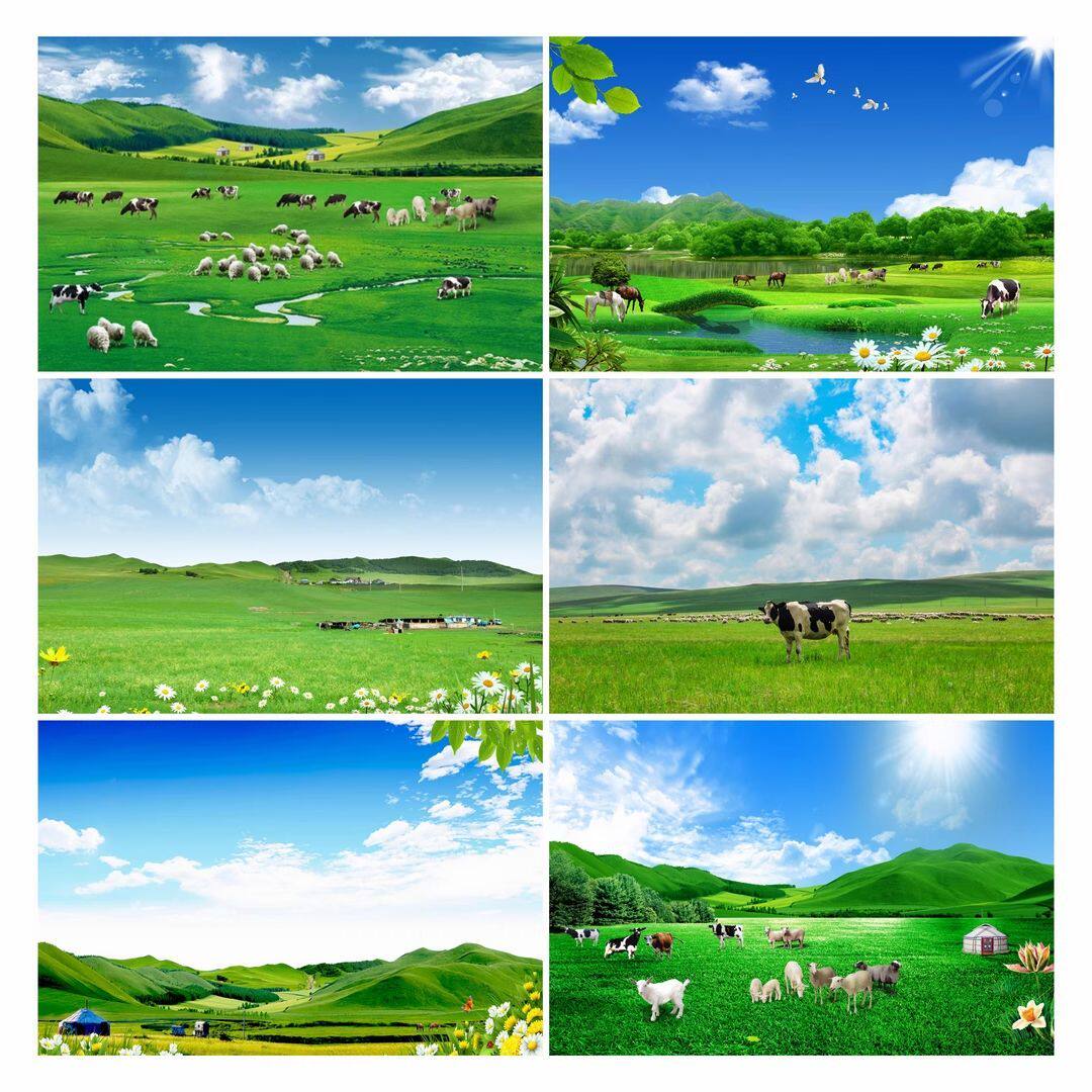 风景草地蒙古包绿色画蓝
