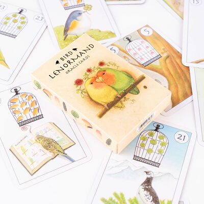 高准确率38张鹦鹉小鸟雷诺曼卡牌 bird lenormand cards
