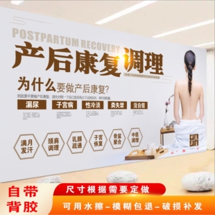 产后康复推理的好处美容院产后修复的重要性装饰画腹直肌分离海报