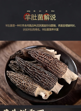 新疆巴音布鲁克滋补精选羊肚菌4-6cm明码明价无忽悠那拉提野蘑菇