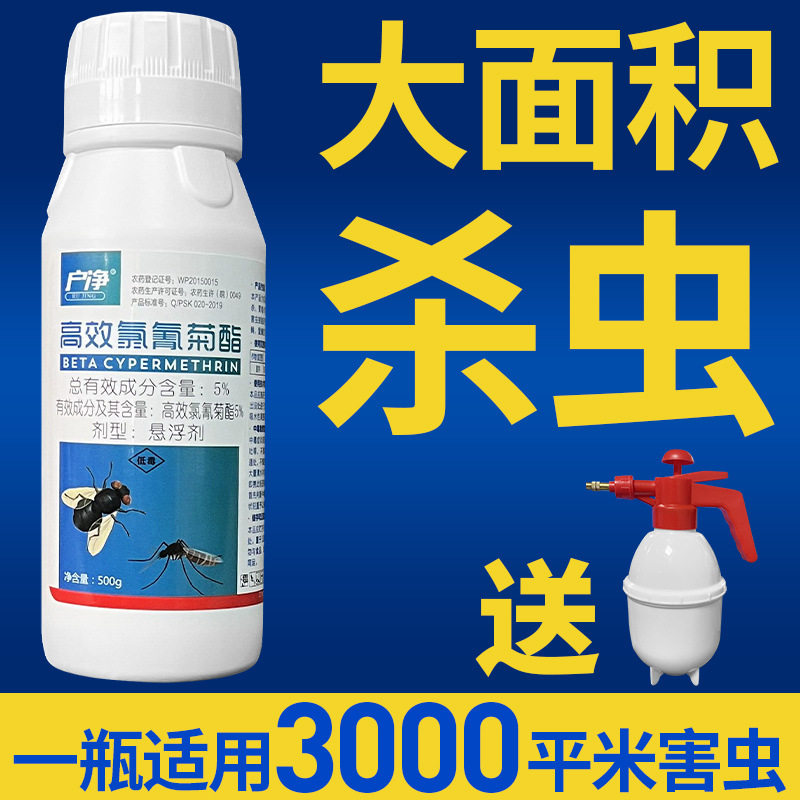 蟑螂药强效第一名1全窝端非无毒家用虫卵双杀灭苍蝇蚊子药杀虫剂