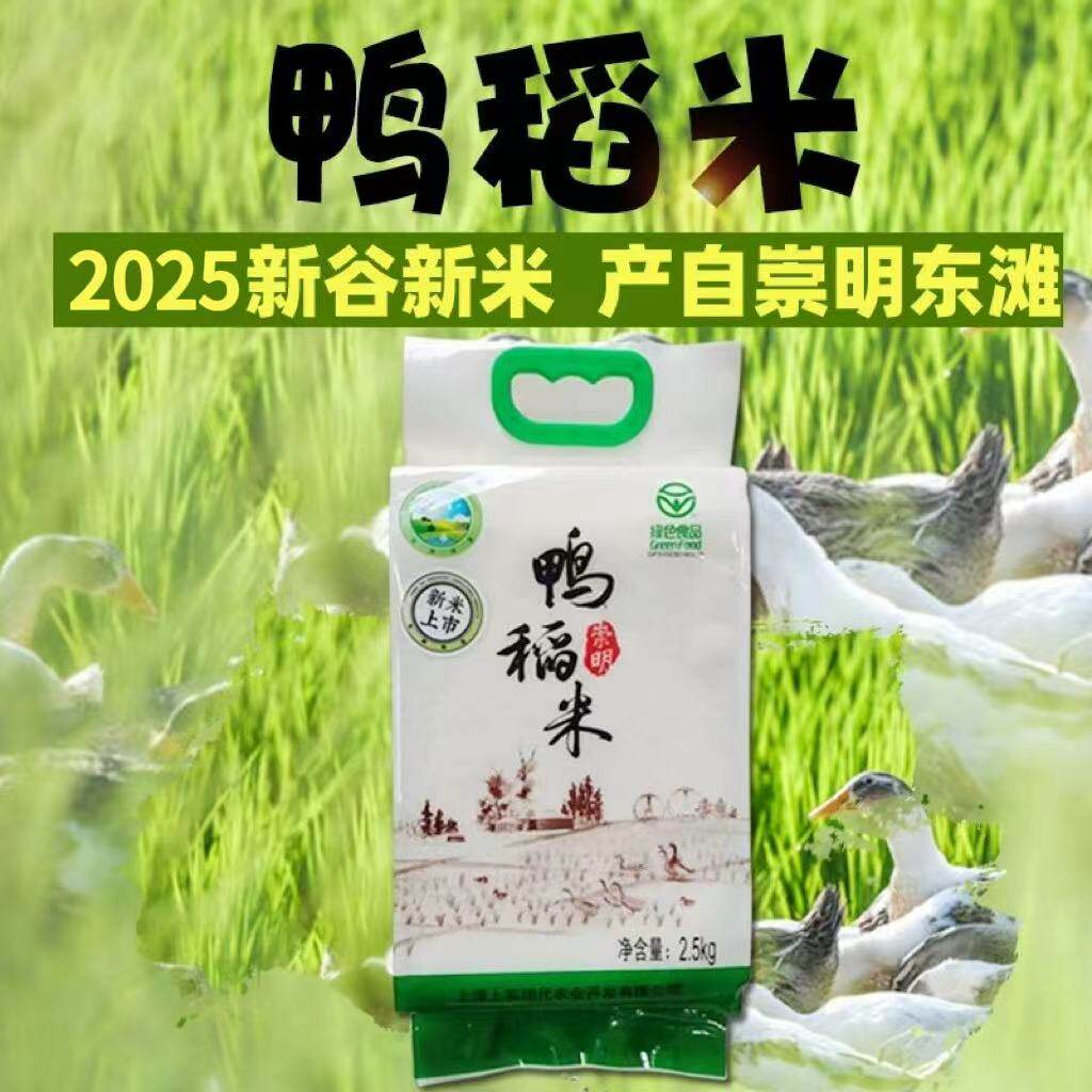 2025新谷新米上实现代东滩绿大米