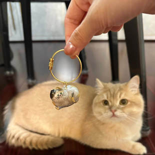 猫毛收纳扭蛋透明猫毛收纳挂饰金渐层掉毛纪念钥匙扣猫毛收纳挂件