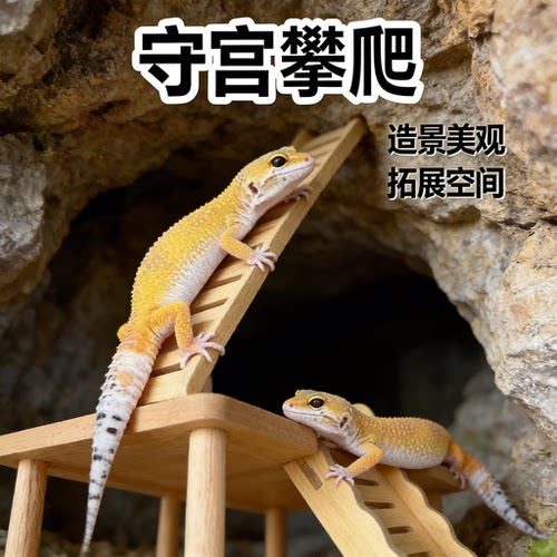 守宫攀爬架蜥蜴自然生态木质爬梯