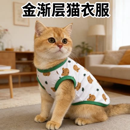 金渐层专用衣服四季薄款背心防掉毛外出可爱装扮猫咪宠物服饰用品