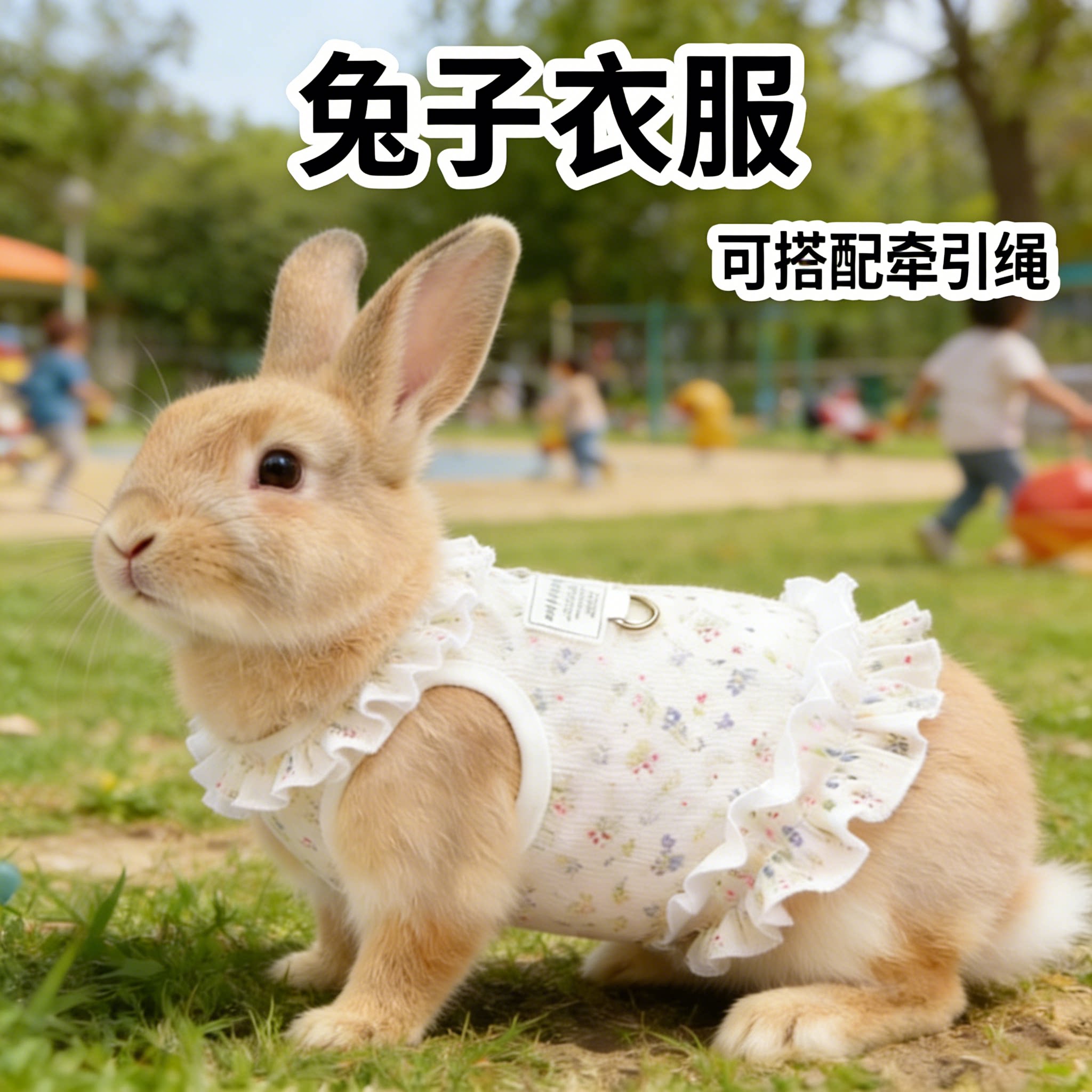 兔子衣服侏儒垂耳兔专用春夏薄款公主裙子外出可牵引可爱装扮服饰