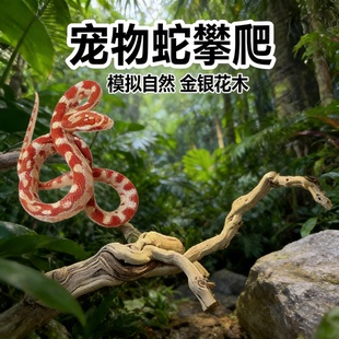宠物蛇攀爬仿真金银花木爬架蜥蜴造景自然生态风格 宠物爬宠躲避用