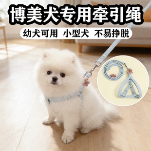 博美犬专用牵引绳小型犬幼犬可伸缩宠物狗绳胸背防挣脱绳链子用品