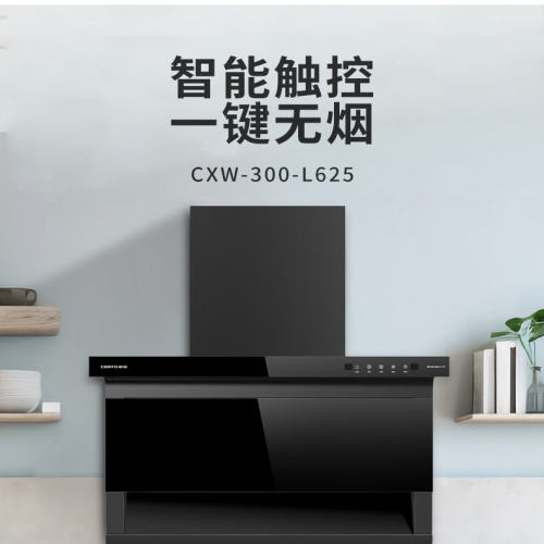 前锋抽油烟机CXW-300-L625 平板抽油烟机 顶侧双吸 吸油烟机