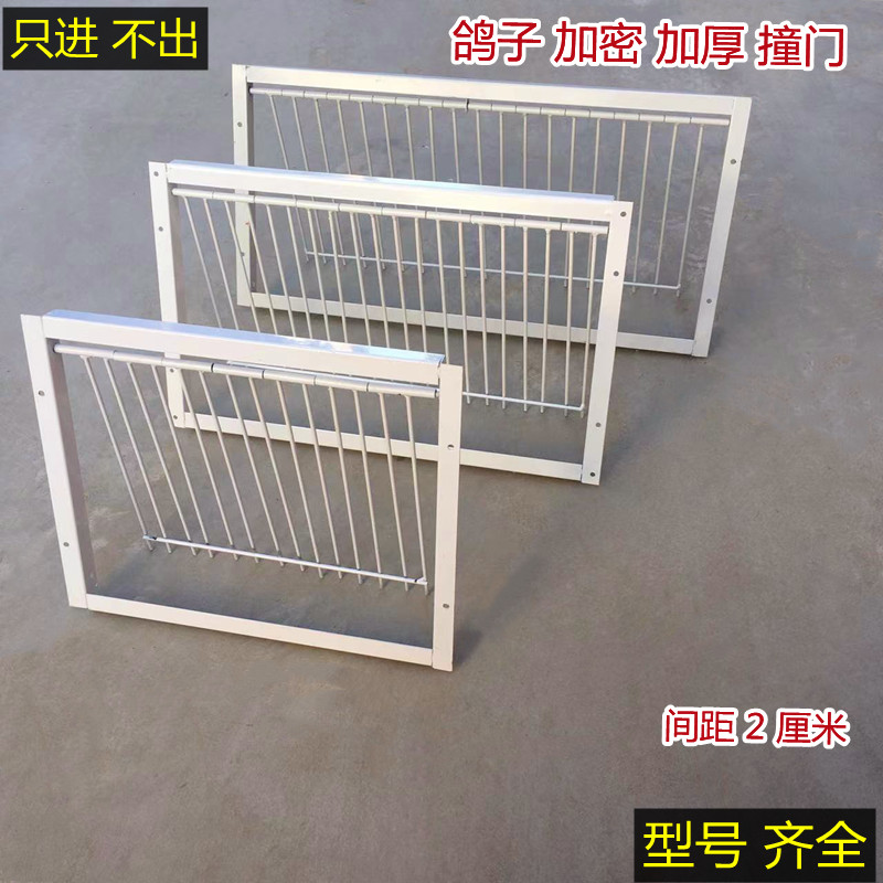 鸽子活络门加密撞门进笼口跳笼门信鸽鸽具鸽子用品用具加厚自动门