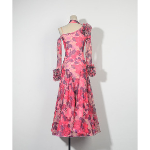 摩登舞练功服女春夏新款交谊舞粉花网豹纹网修身小鱼骨大摆连衣裙