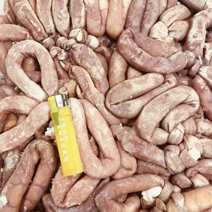 飞悦福生大号冒节子肥肠火锅串串肥肠粉专用冒节子商用半成品食材