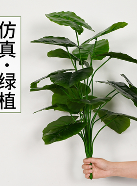 仿真观音龟背八角仿真花