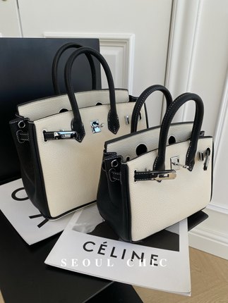 SEOULCHIC 高级感荔枝纹手提包2024新款撞色极简铂金单肩斜挎女包