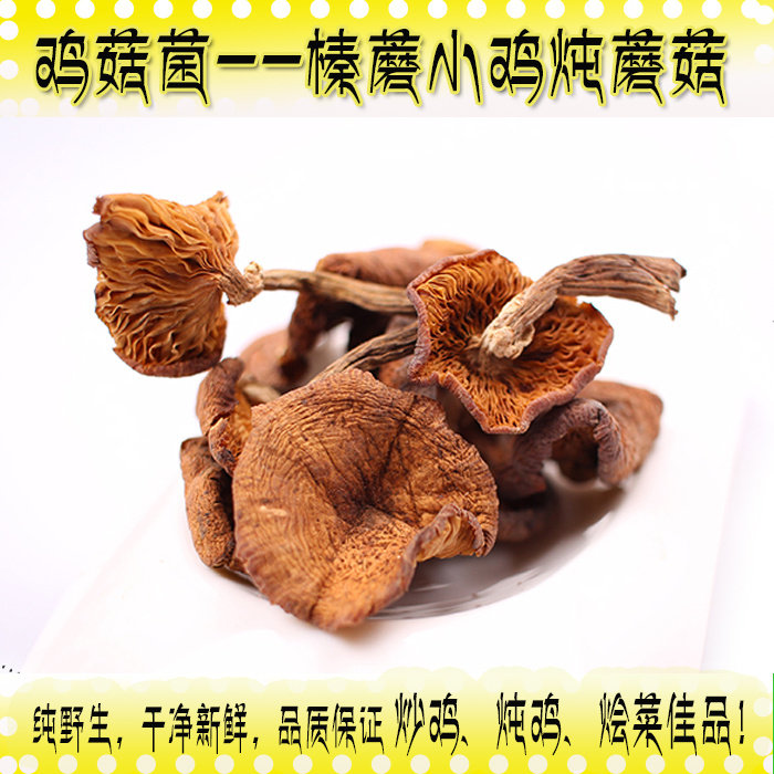 新品上市藏区特产鸡菇菌炒鸡炖鸡煲汤鲜品干货食用菌500g一袋包邮