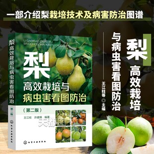 梨高效栽培与病虫害看图防治 第二版 王江柱 高标准建设梨园 土肥水管理整形修剪花果管理 低效梨树高接改造 梨树种植合作社参考书